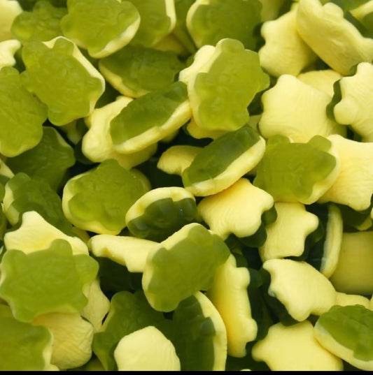 Turtles 100g